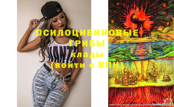 молекула духа Баксан