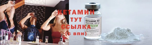 твердый Аркадак
