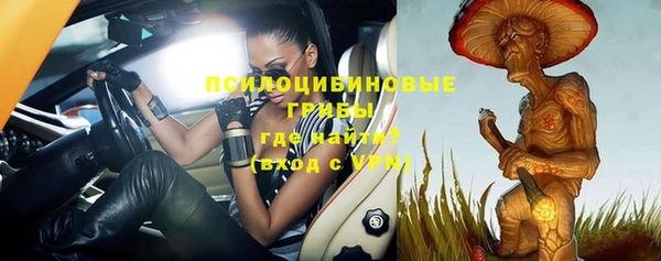 молекула духа Баксан