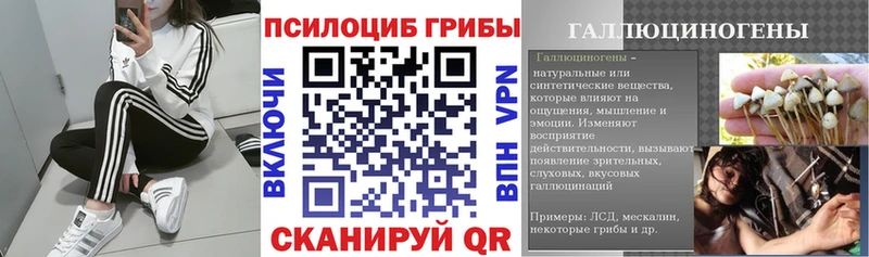 Галлюциногенные грибы Magic Shrooms  Луза 